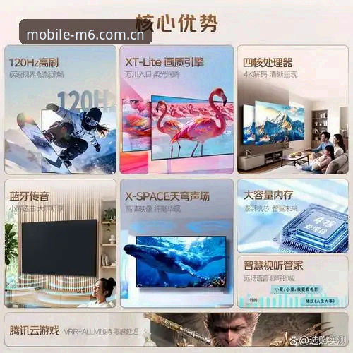 都灵德比观赛指南：M6体育登录新手操作教程